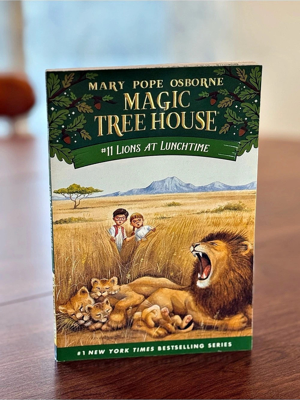 Magic Tree House #11: Lions at Lunchtime Children's Chapter Book